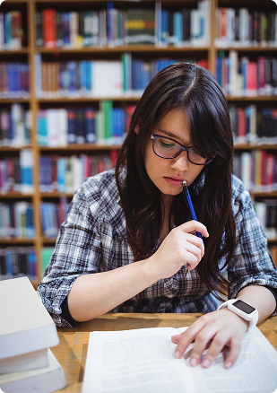 Germany Academic Language image